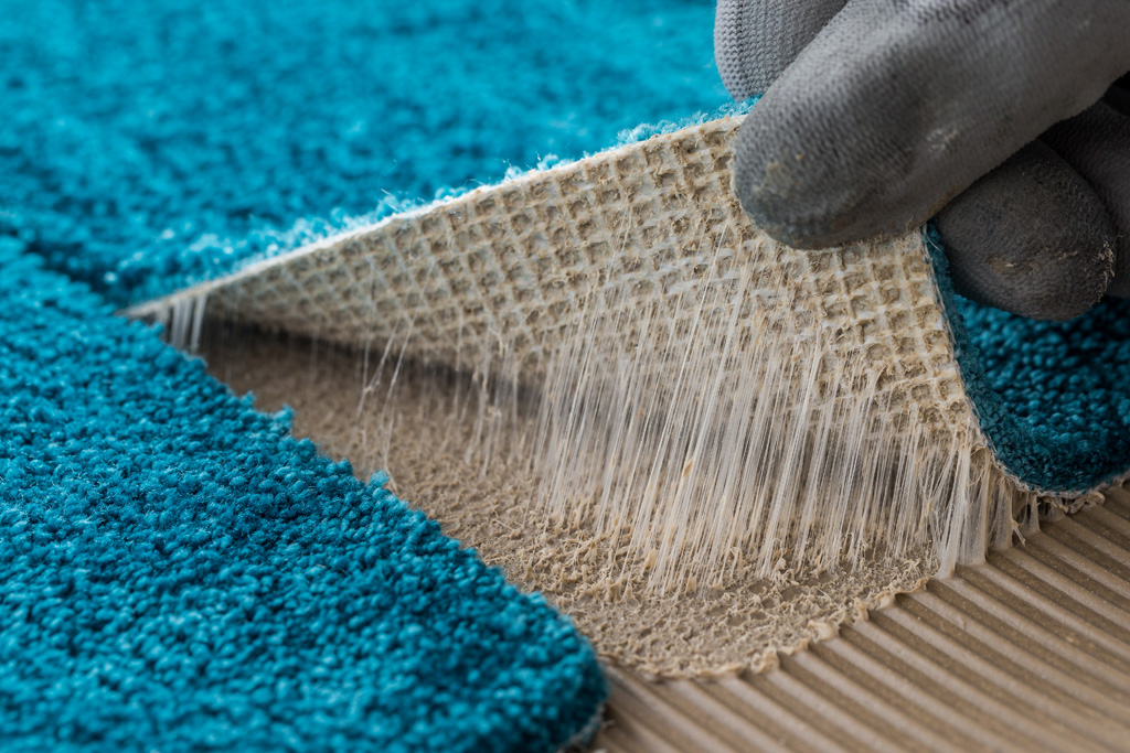 still life mapei